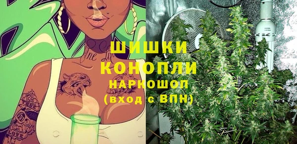 дмт Осинники