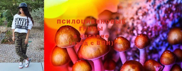 экстази Осташков
