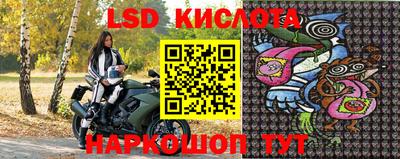 прущие грибы Абакан