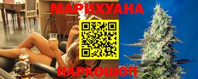 прущие грибы Абакан