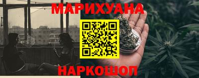 прущие грибы Абакан