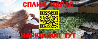 прущие грибы Абакан