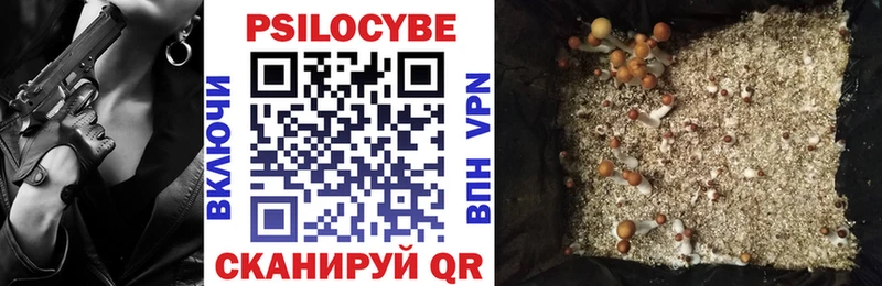 Галлюциногенные грибы Psilocybine cubensis  Анжеро-Судженск 
