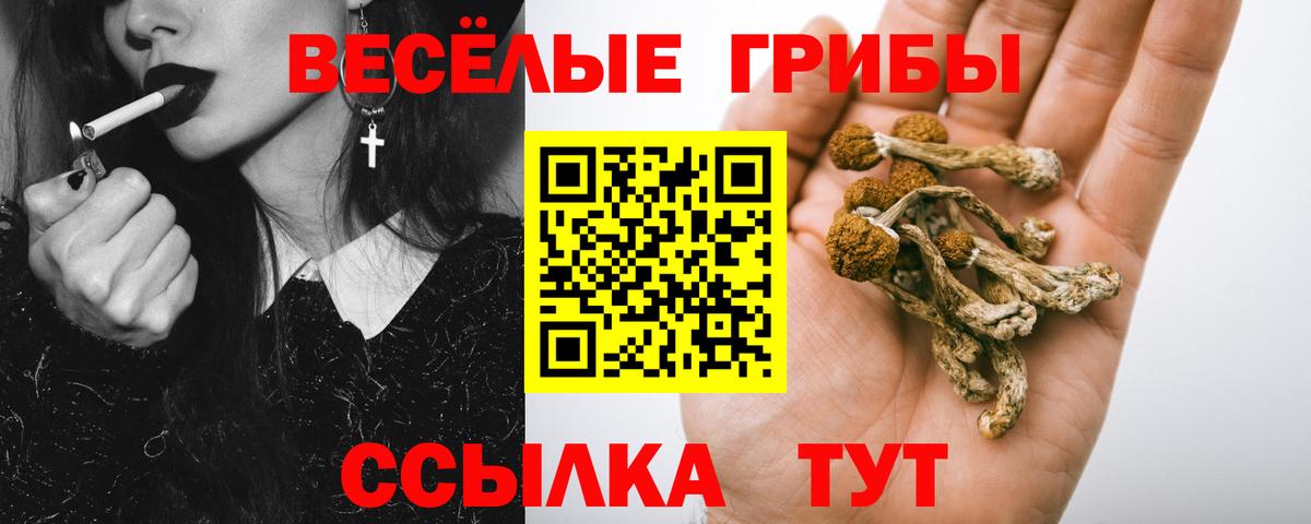 Галлюциногенные грибы GOLDEN TEACHER  Вход с VPN  Анжеро-Судженск 